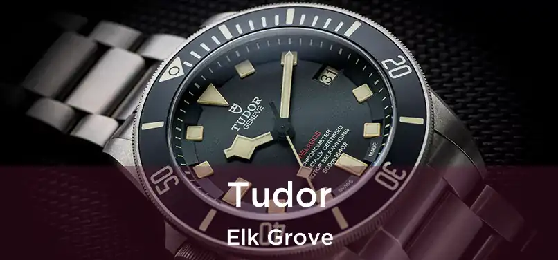  Tudor Elk Grove